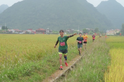 Mùa Vàng Bắc Sơn 2023